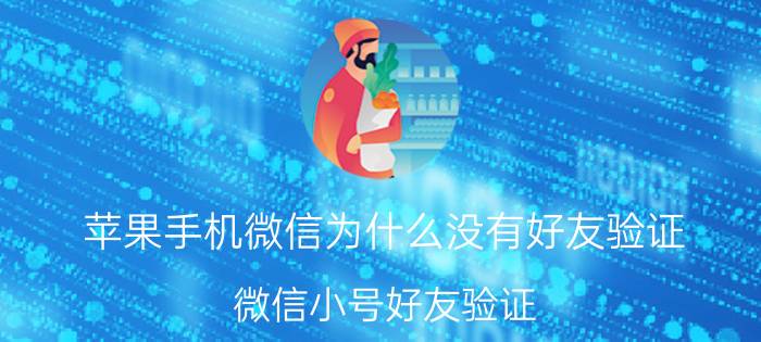 苹果手机微信为什么没有好友验证 微信小号好友验证，没有好友怎么办？